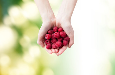 close up of woman hands holding raspberries