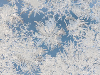 Frost flowers at a blue background