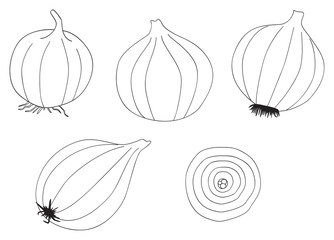 Delightful garden - Set of five onions