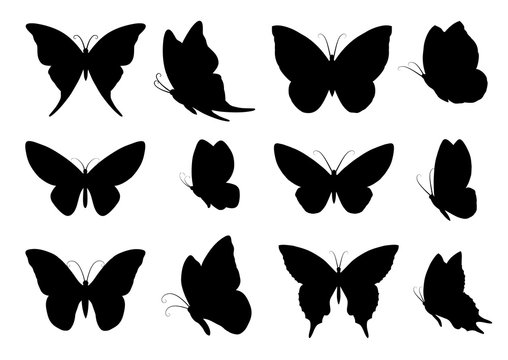 Set of black butterflies