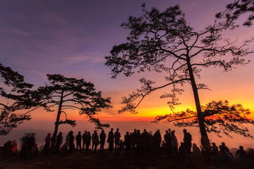 Phu Kradueng National Park at Sunrise in Loei Province of thailand