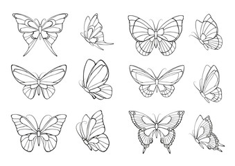 Fototapeta na wymiar Set of hand drawn butterflies