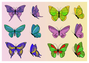 Set of colored butterflies