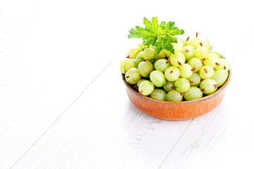 gooseberry