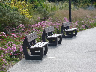 bench