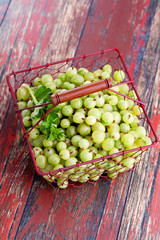 gooseberry