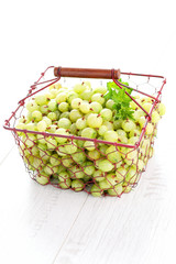 gooseberry