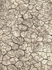 dry land
