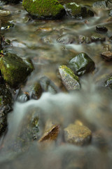 Fototapeta premium 渓流（東京奥多摩の海澤の三滝）