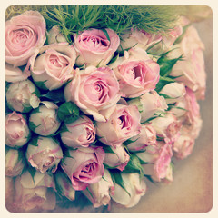 Pink rosebuds old photo