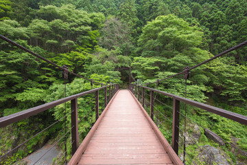 奥多摩の吊り橋
