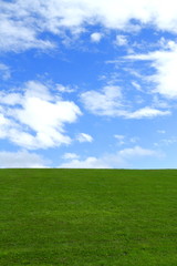 Fototapeta premium Zielone pole pod błękitnym niebem
