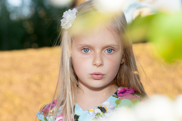 Portrait of a little girl