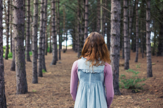 Woman standing in forest and looking at trees