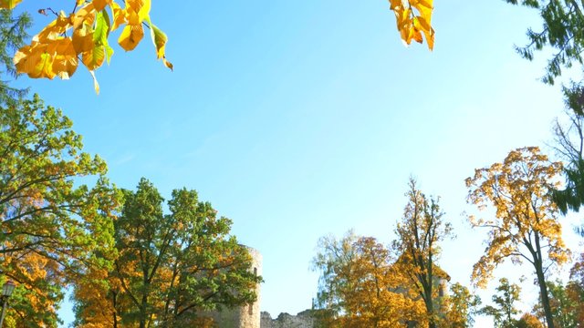 Autumn day in a park near Cesis castle , Latvia 