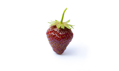 Standing strawberry