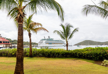 Fototapeta na wymiar Cruise Ship Beyond Palm Trees in Bay