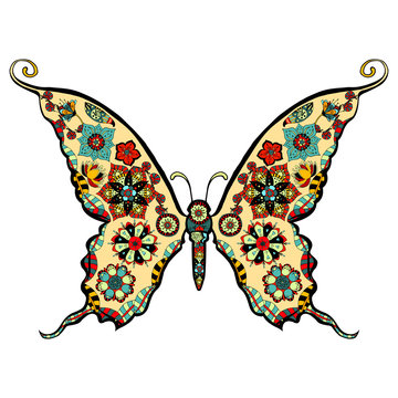 Butterfly vector