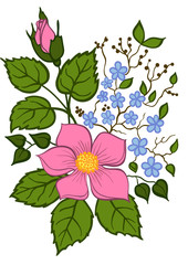 beautiful floral arrangement hand drawing on a white background