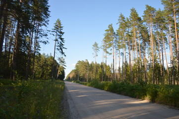 Obraz premium Весна на брянщине