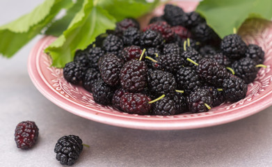 Fresh mulberry