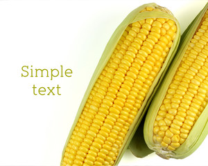 corn isolated on a white background