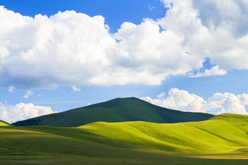 colline a castelluccio