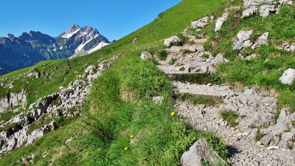 Fototapeta na wymiar Bergwanderweg zum Schäfler