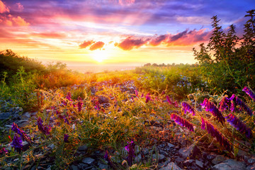 Colourful sunset landscape