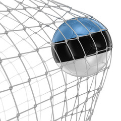 Estonian soccerball in net. Image with clipping path