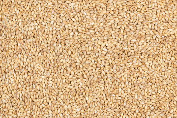 Pearl barley