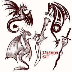 Dragon vector set for tattoo design