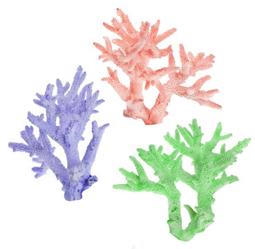 set of isolated color corals