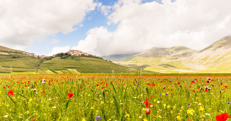 Castelluccio di Norcia