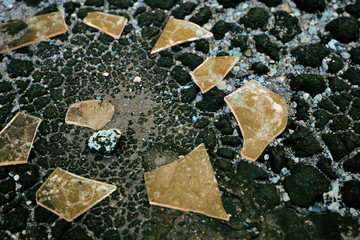 Shards of glass on the asphalt surface