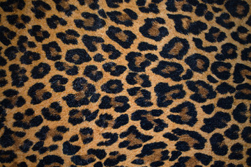 leopard background closeup in horizontal position