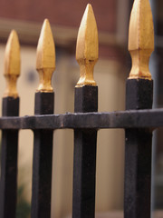 Golden coloured iron fence pole tips