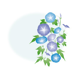 朝顔-03■あさがお・アサガオ・夏イメージ・水色・紫色