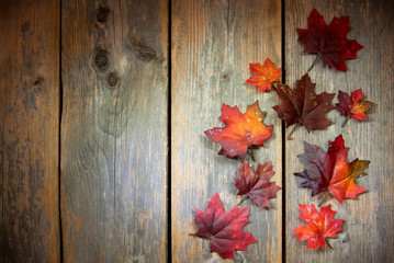 Autumn background