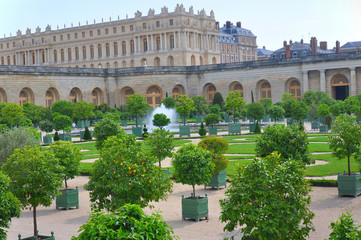 Lemon Trees at Versailles Garden, Paris