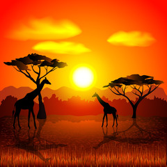 Fototapeta na wymiar Sunset in african savannah vector background