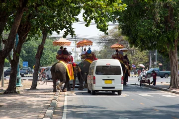 Foto op Plexiglas Elefanten im Strassenverkehr   © Bittner KAUFBILD.de
