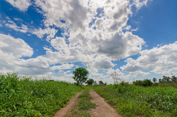 Blue sky And Clouds