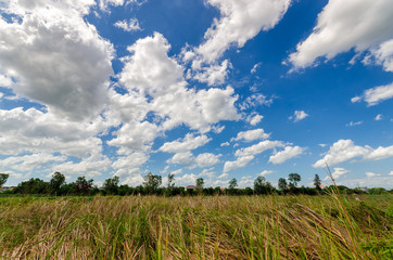 Fototapeta premium Blue sky And Clouds