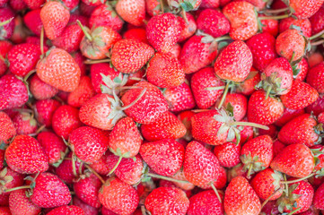 Strawberry - full frame