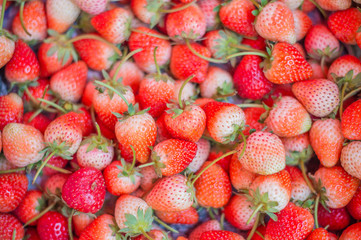 Strawberry - full frame