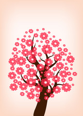 Obraz na płótnie Canvas beautiful cherry blossom tree,illustration vector