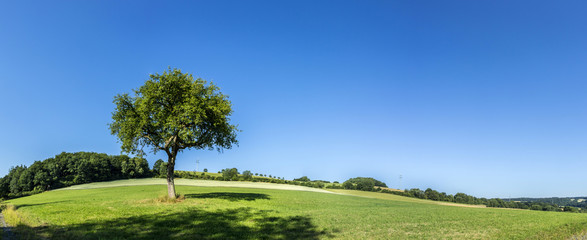 rural landscape with fields and blue sky