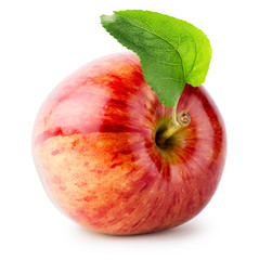 Shiny red apple with green leaf