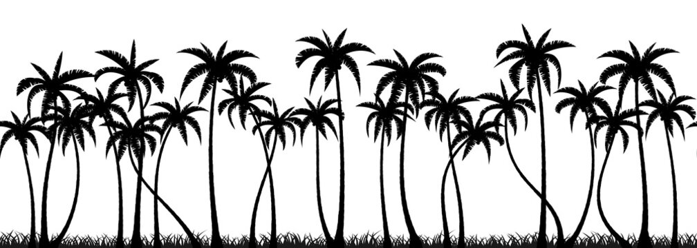 Palm trees silhouette seamless vector pattern